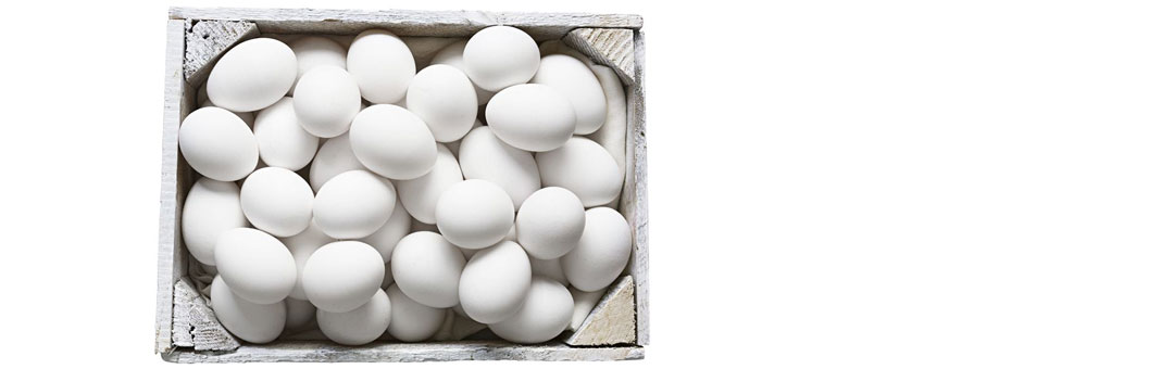 Ägg ska komma från frigående hönor för alla produkter även varumärkena Coop och X-tra.