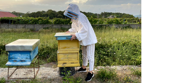 Drivalda Zmakaj sköter om bina